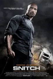 Snitch (2013)